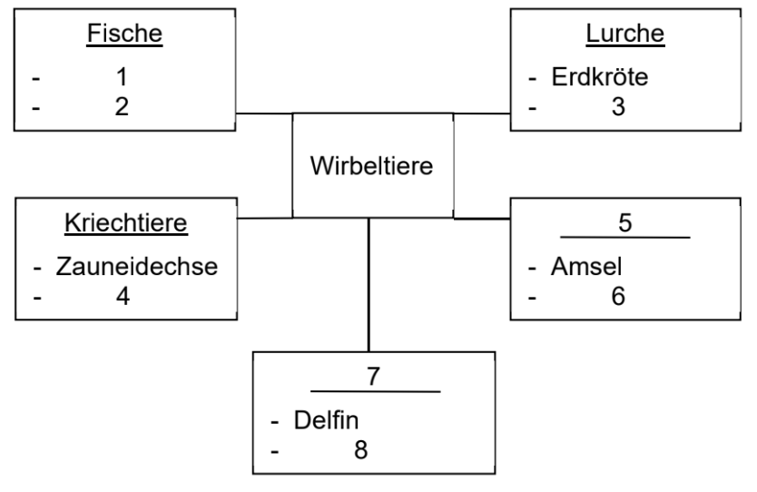 Schema zu Wirbeltieren mit Kategorien wie Fische, Lurche, Kriechtiere, Vögel und Säugetiere.